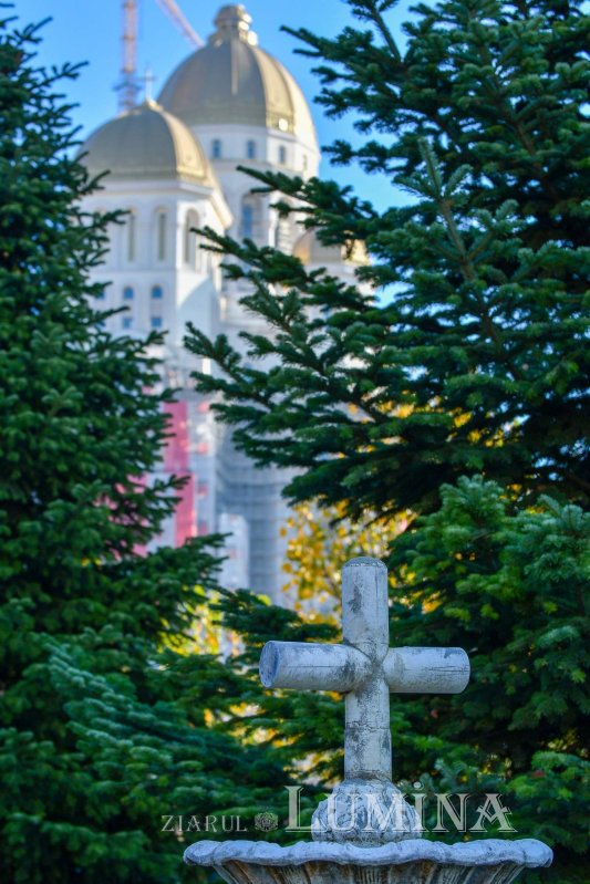 Fotografii artistice ale Publicațiilor Lumina 235236