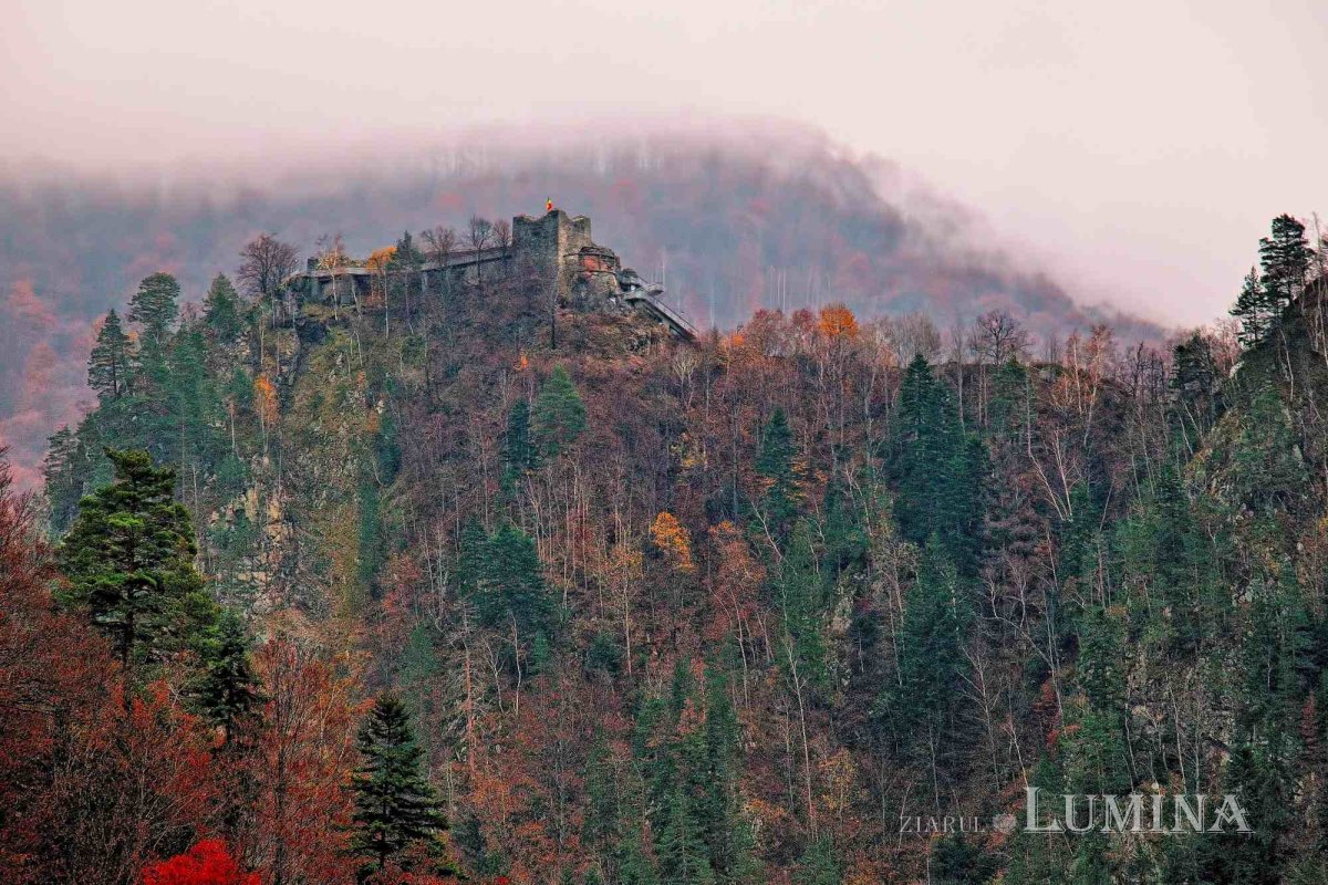 Fotografii artistice ale Publicațiilor Lumina 235238