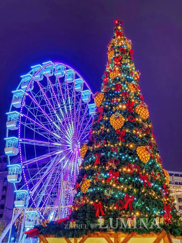 Fotografii artistice ale Publicațiilor Lumina 237853