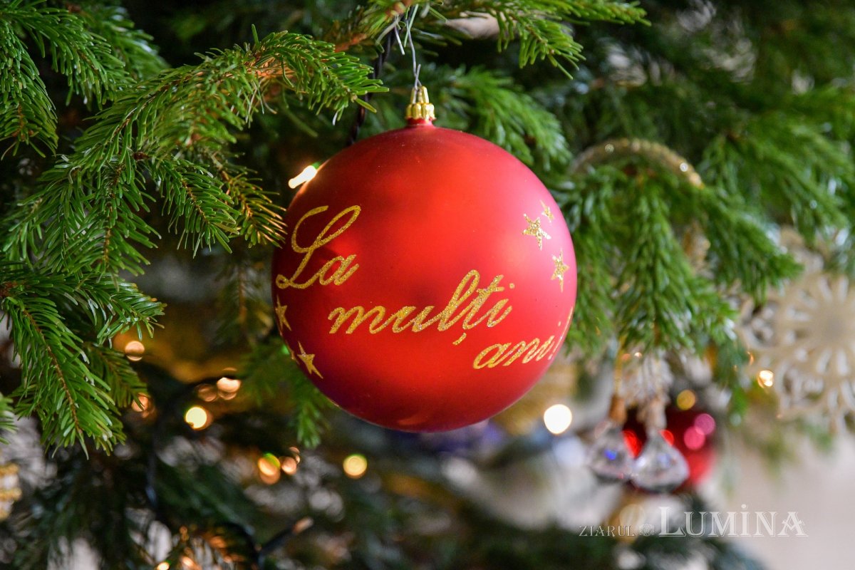 Nașterea Domnului vestită după datină la Reședința Patriarhală 239224