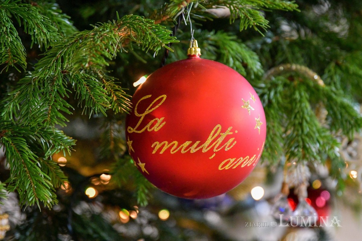 Fotografii artistice ale Publicațiilor Lumina 239671