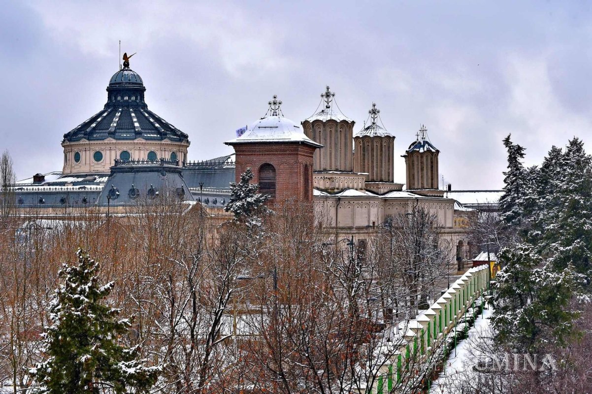 Fotografii artistice ale Publicațiilor Lumina 240286