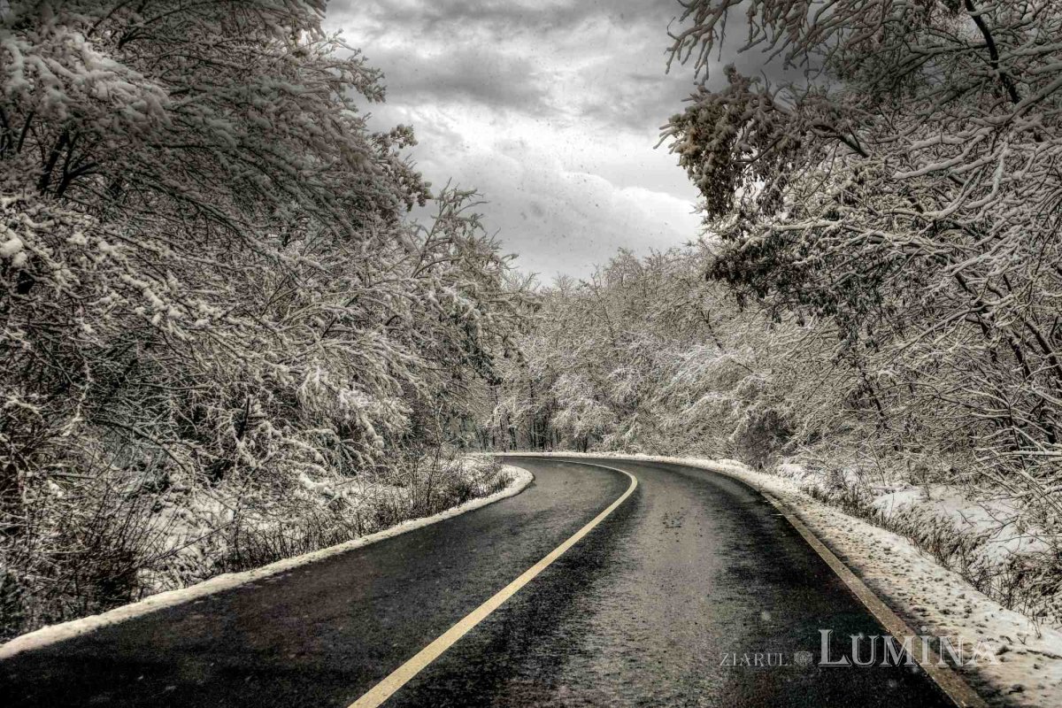 Fotografii artistice ale Publicațiilor Lumina 241195