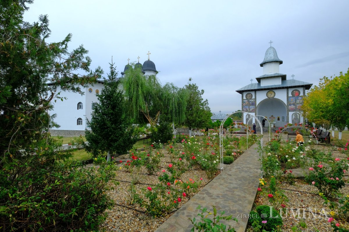 Rugăciunea, hrana care zidește și crește aripi sufletului 241899