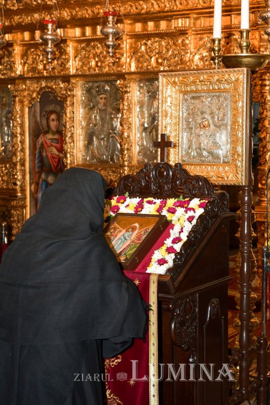 „Bunătatea lui Iisus vindecă răutatea sufletului pătimaș” 242271