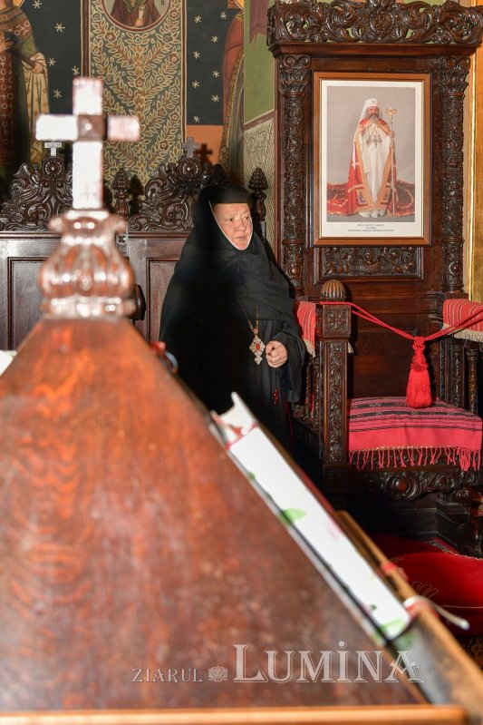 „Bunătatea lui Iisus vindecă răutatea sufletului pătimaș” 242274