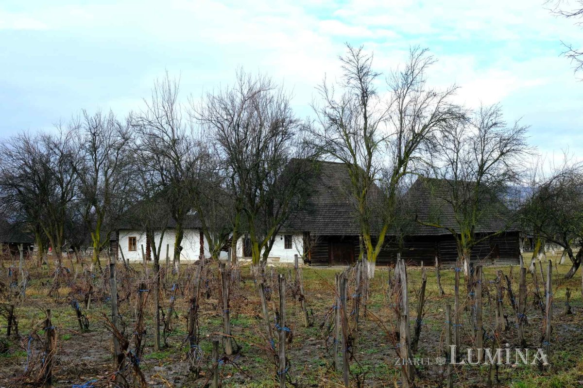 Un muzeu inedit și o biserică de patru ori centenară 242676