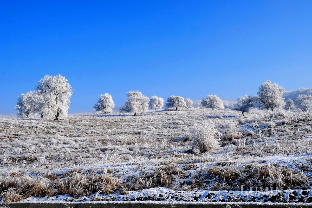 Fotografii artistice ale Publicațiilor Lumina 243612