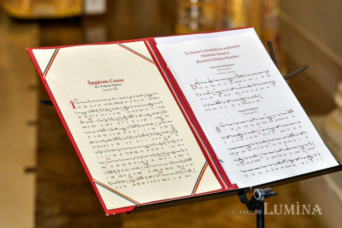 A fost ales un nou Arhiereu-vicar pentru Eparhia Devei și Hunedoarei 244314