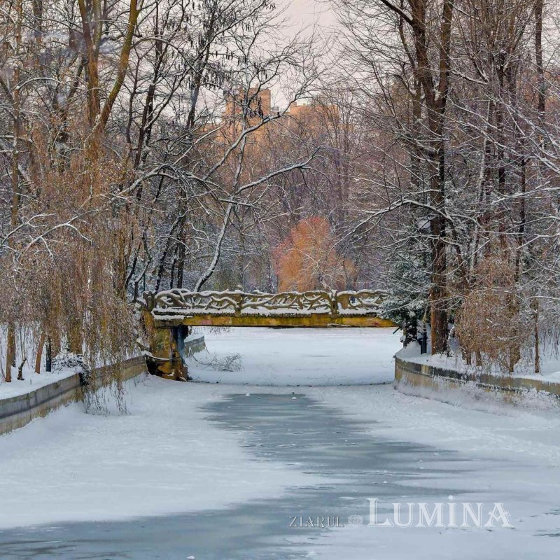 Fotografii artistice ale Publicațiilor Lumina 244402