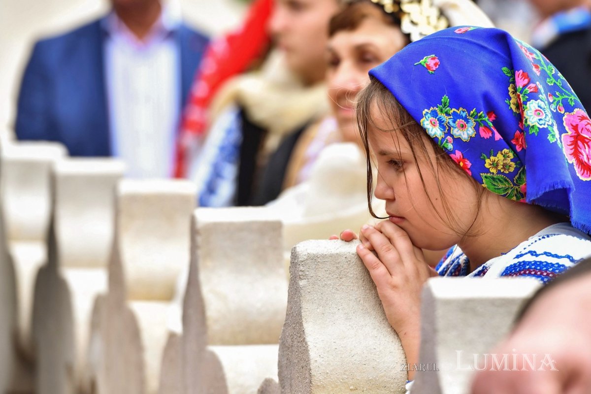 Fotografii artistice ale Publicațiilor Lumina 244979