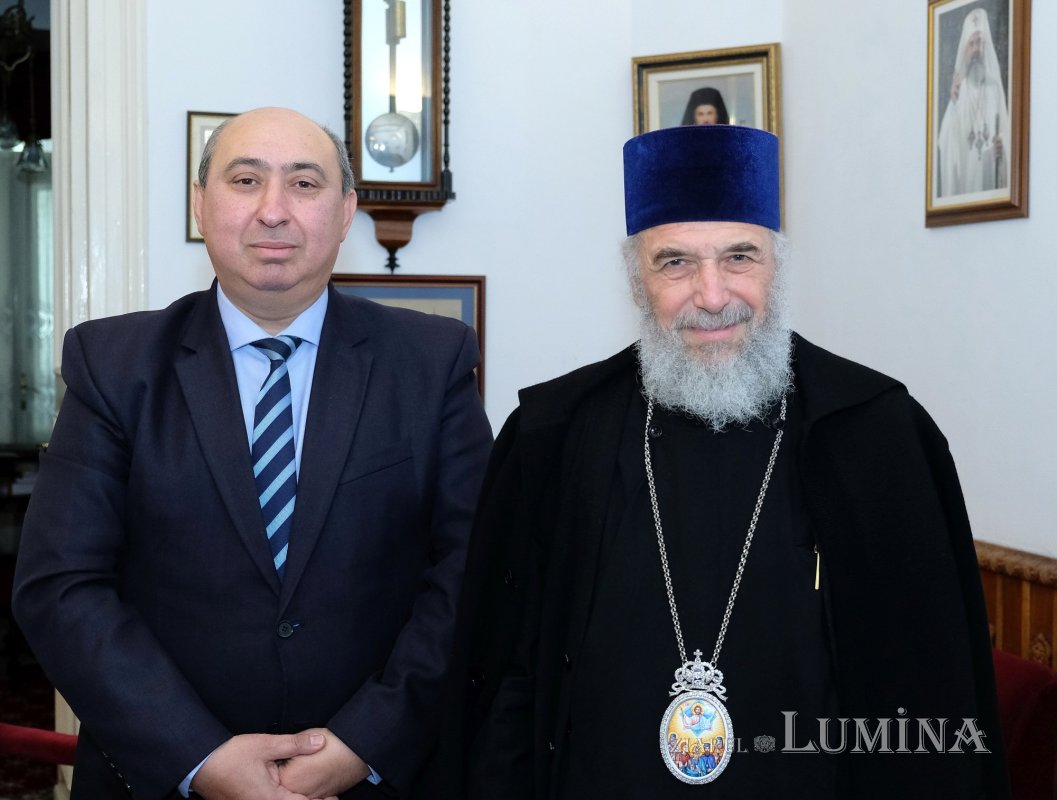 Tinerii studenți seniori 245015