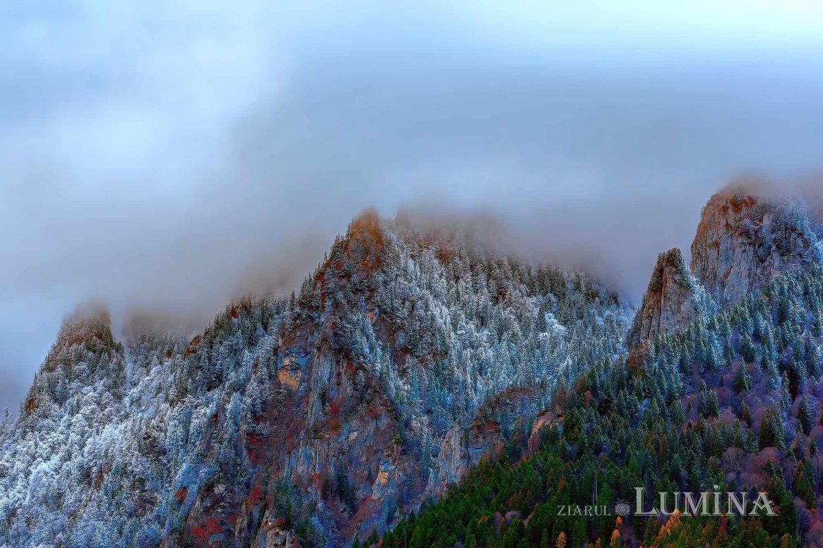 Fotografii artistice ale Publicațiilor Lumina 245480