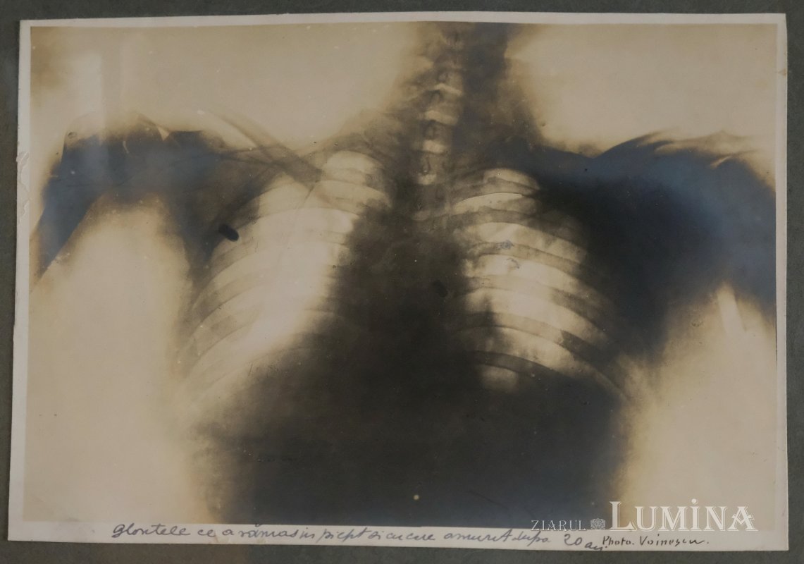 Arhitecții modernizării României 246116