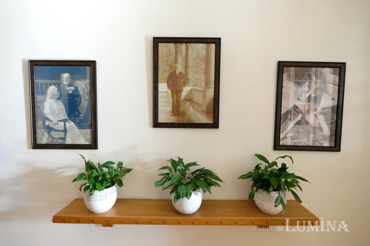 Arhitecții modernizării României 246119