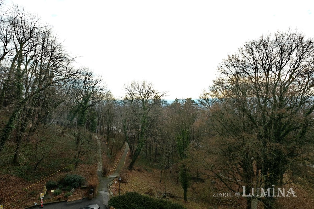 Arhitecții modernizării României 246123