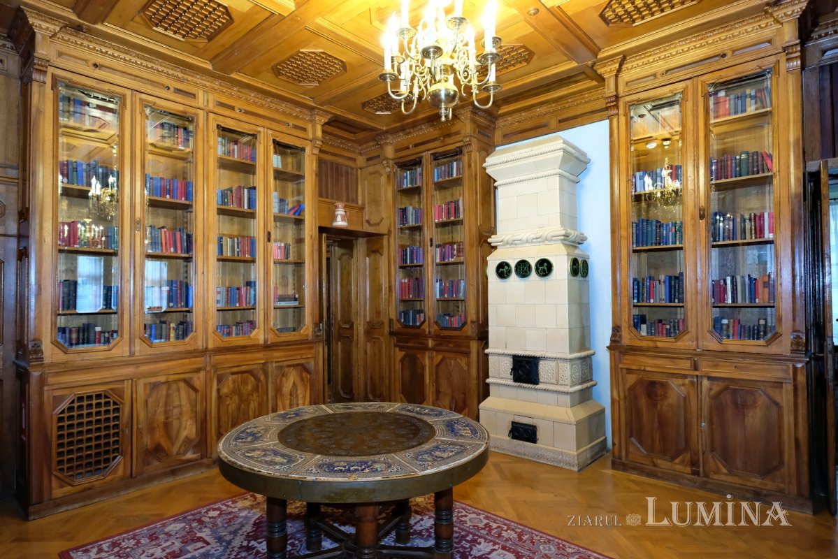 Arhitecții modernizării României 246128