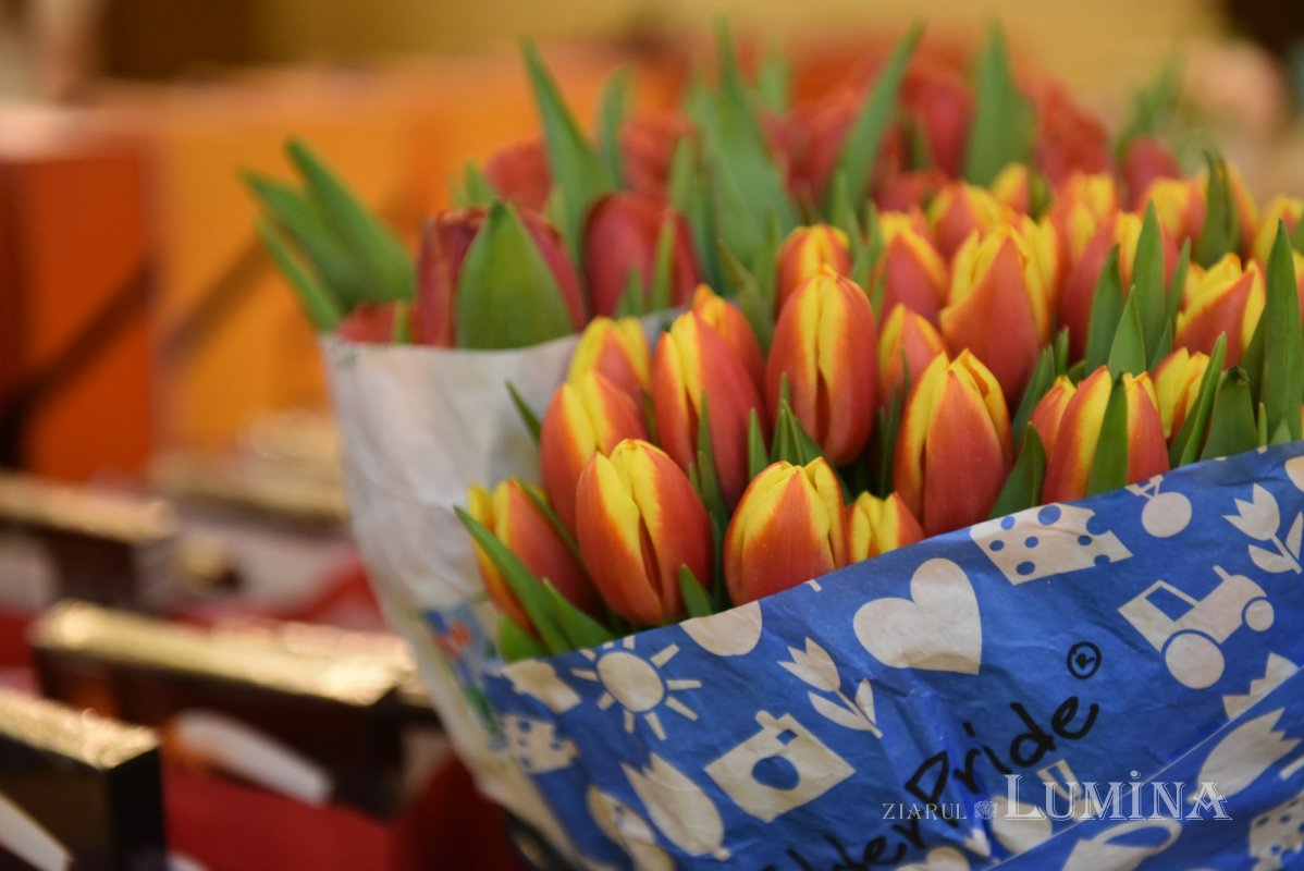 Cântece dedicate Zilei Femeii la un cămin de bătrâni din Capitală 246741