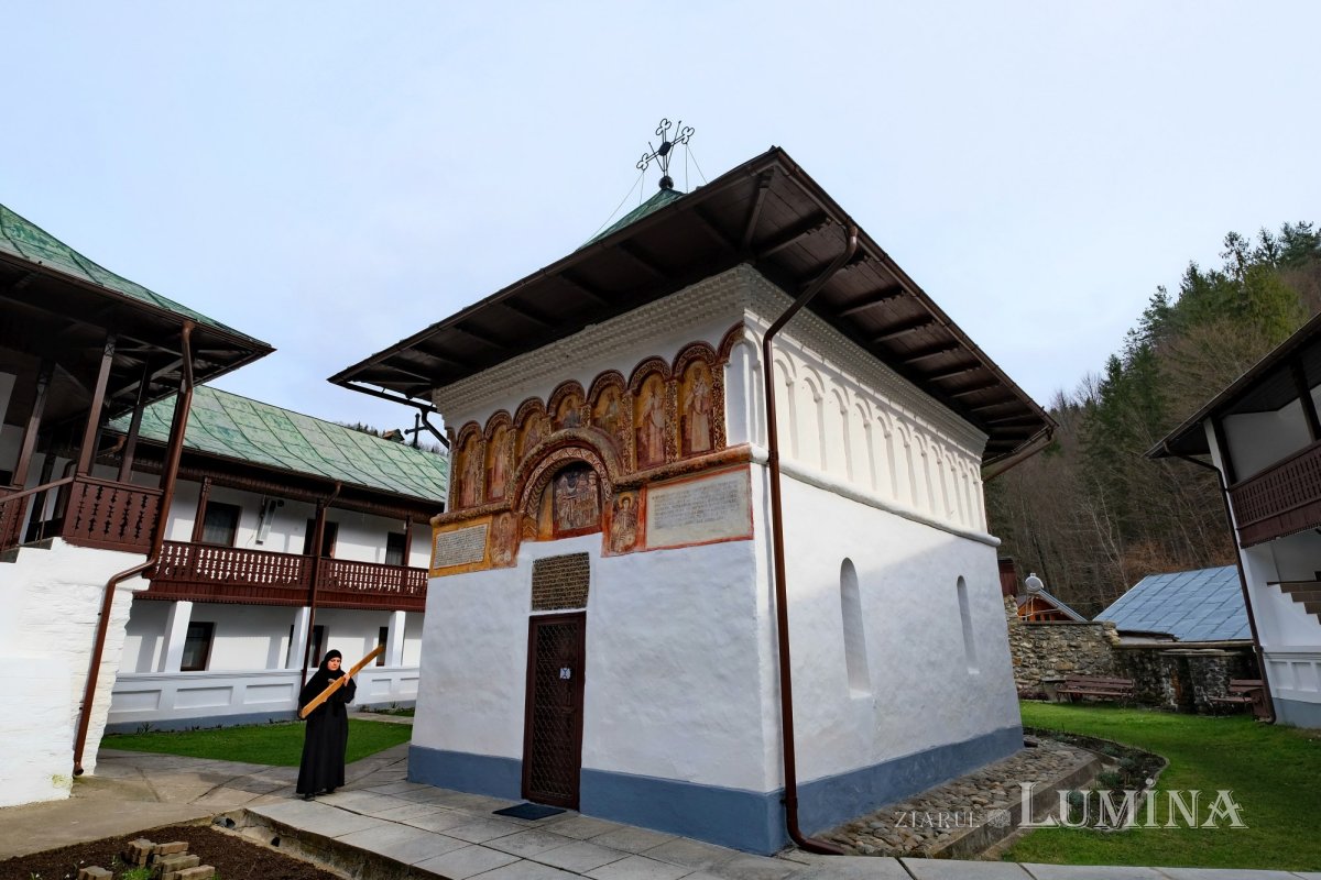 Sclipirile Luminii 247438