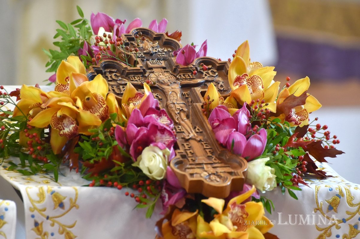 Sclipirile Luminii 247439