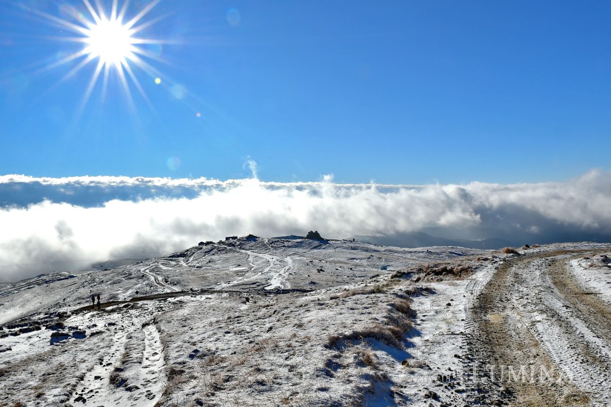 Sclipirile Luminii 247440