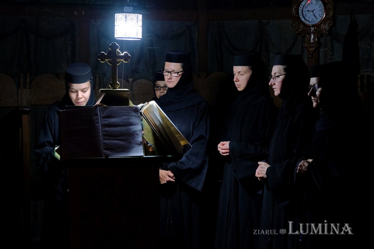 Sclipirile Luminii 247441