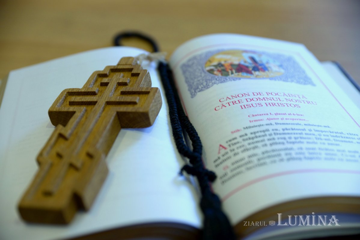 Sclipirile Luminii 247444