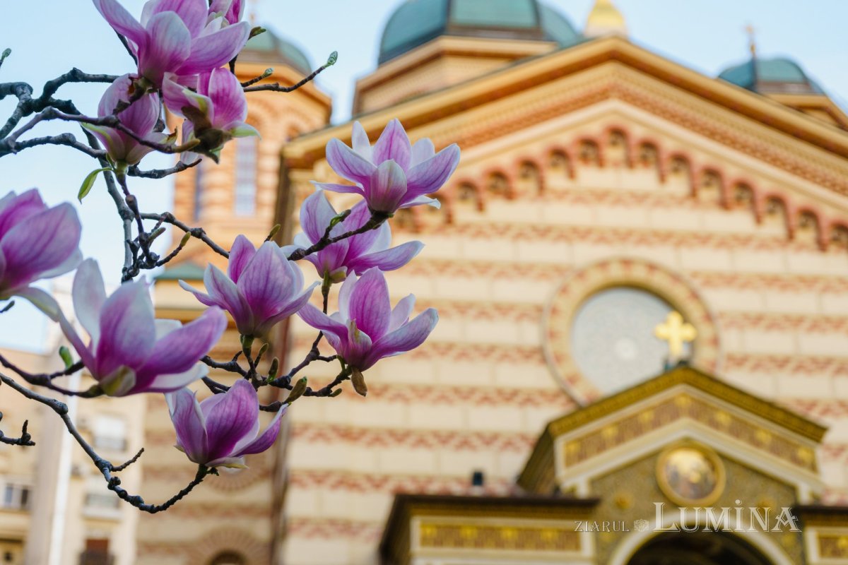 Episcopul Hușilor a conferențiat la Biserica Domnița Bălașa din Capitală 248015