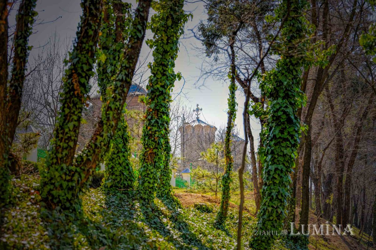 Parcul „Grădina Maicii Domnului” al Reşedinţei Patriarhale la început de primăvară  247991