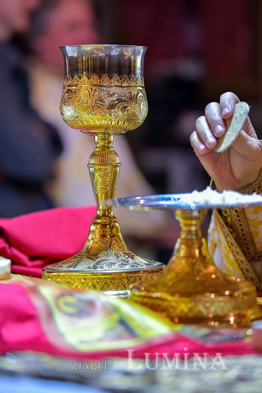 Sclipirile Luminii 249506