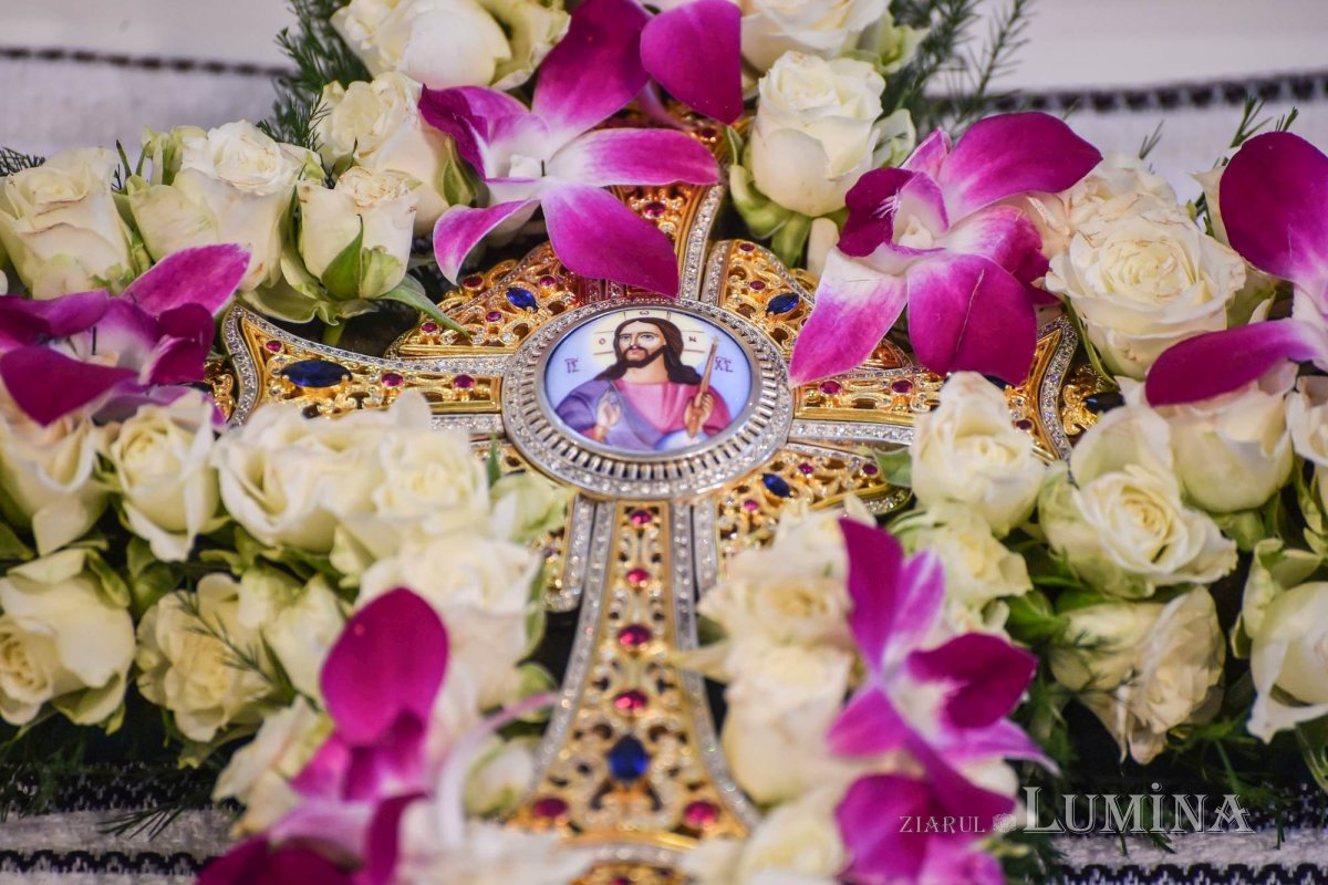 Sclipirile Luminii 251756