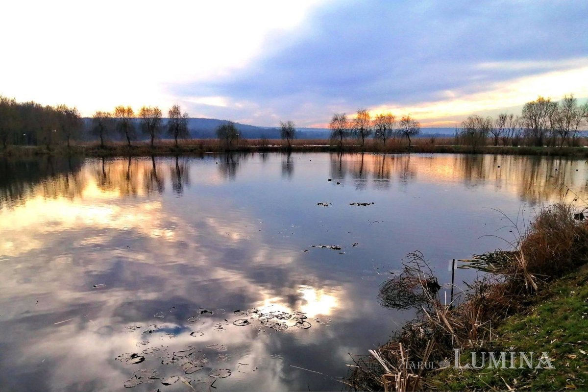 Sclipirile Luminii 251757