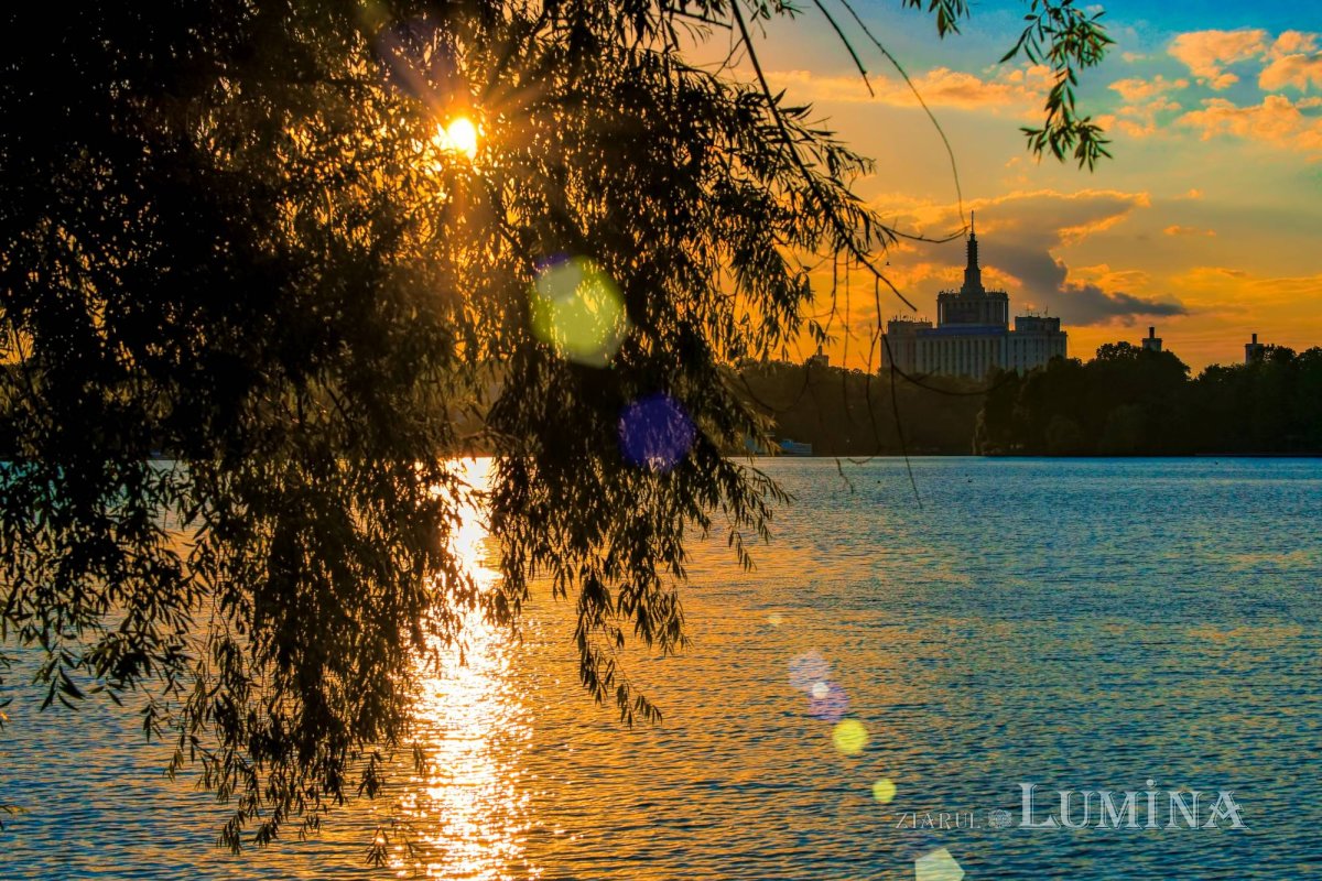 Sclipirile Luminii 253099