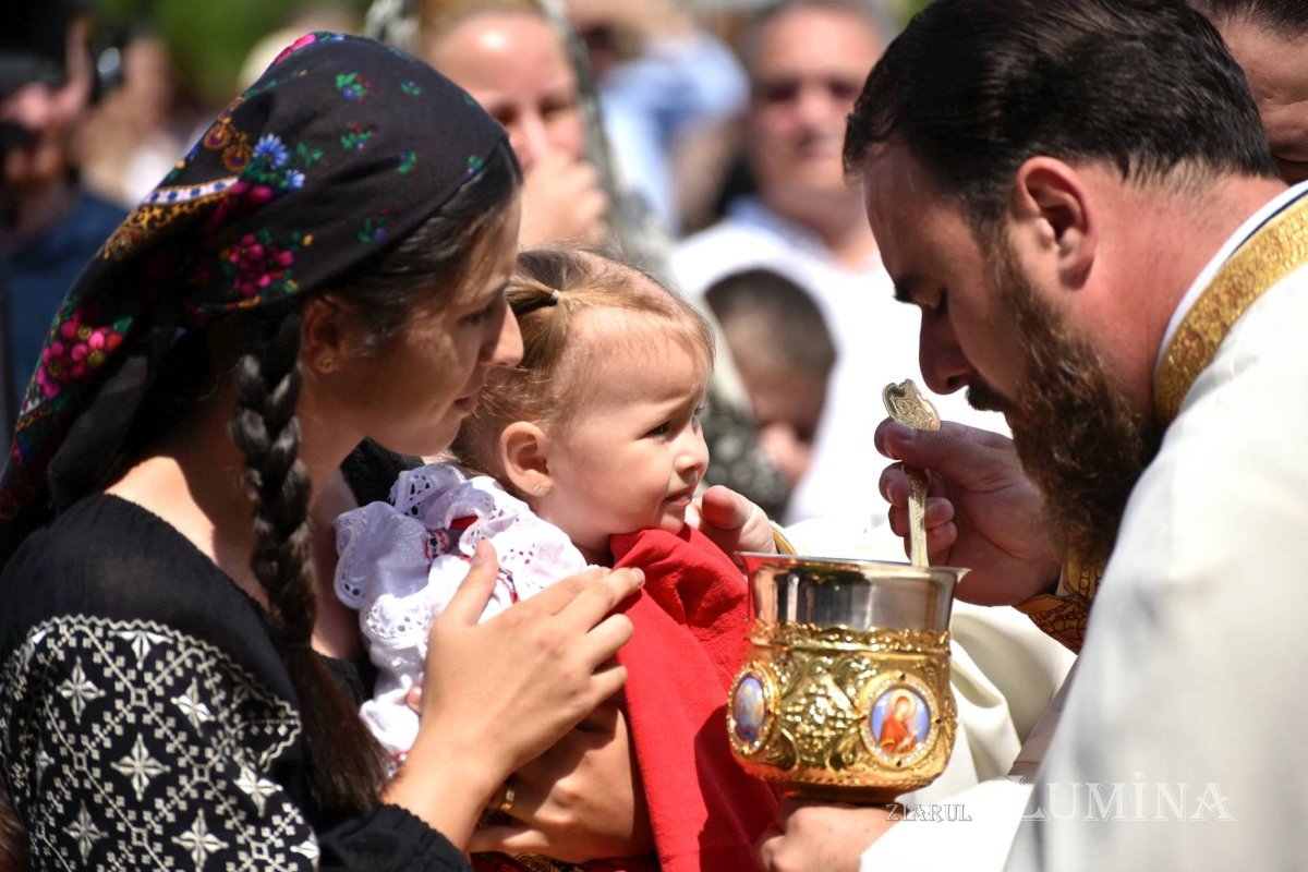 Sclipirile Luminii 253844