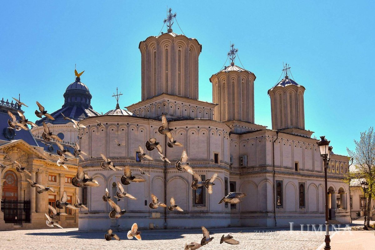 Sclipirile luminii 254556