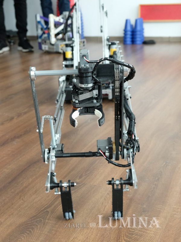 Mozart la bord 256501