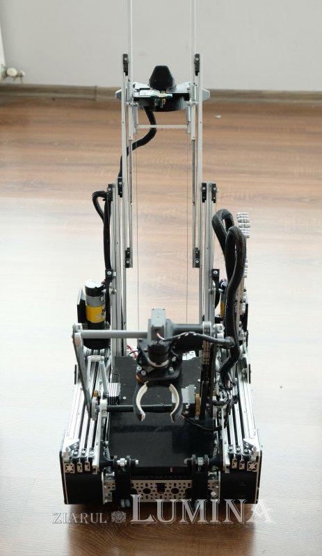 Mozart la bord 256504