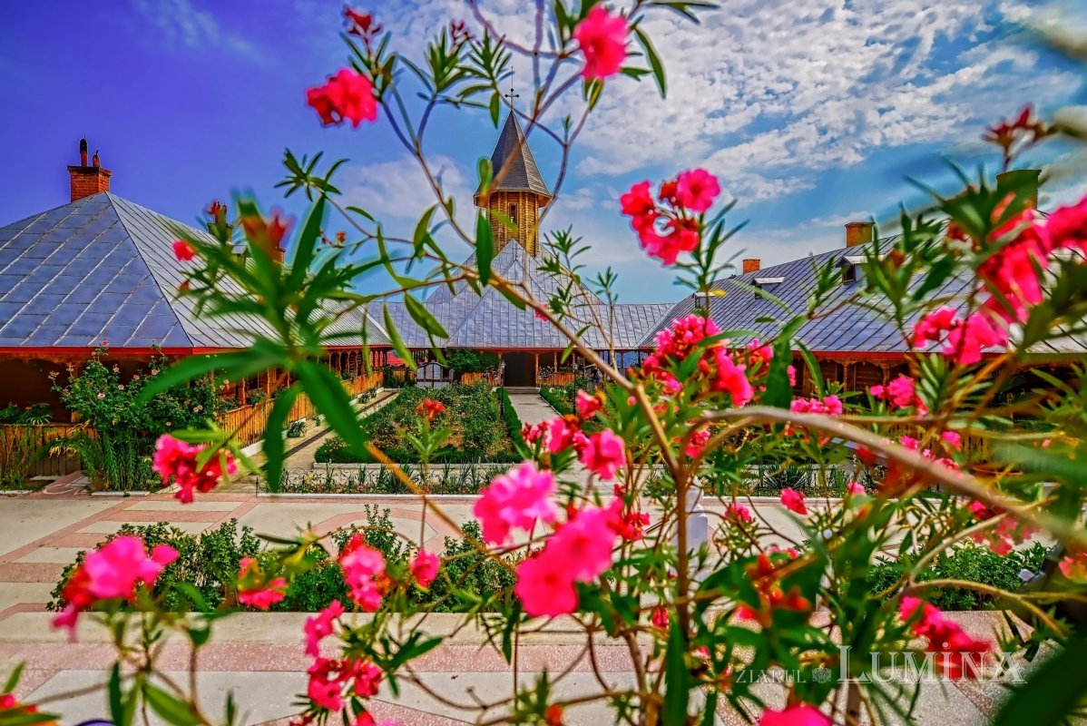 Sclipirile Luminii 257877