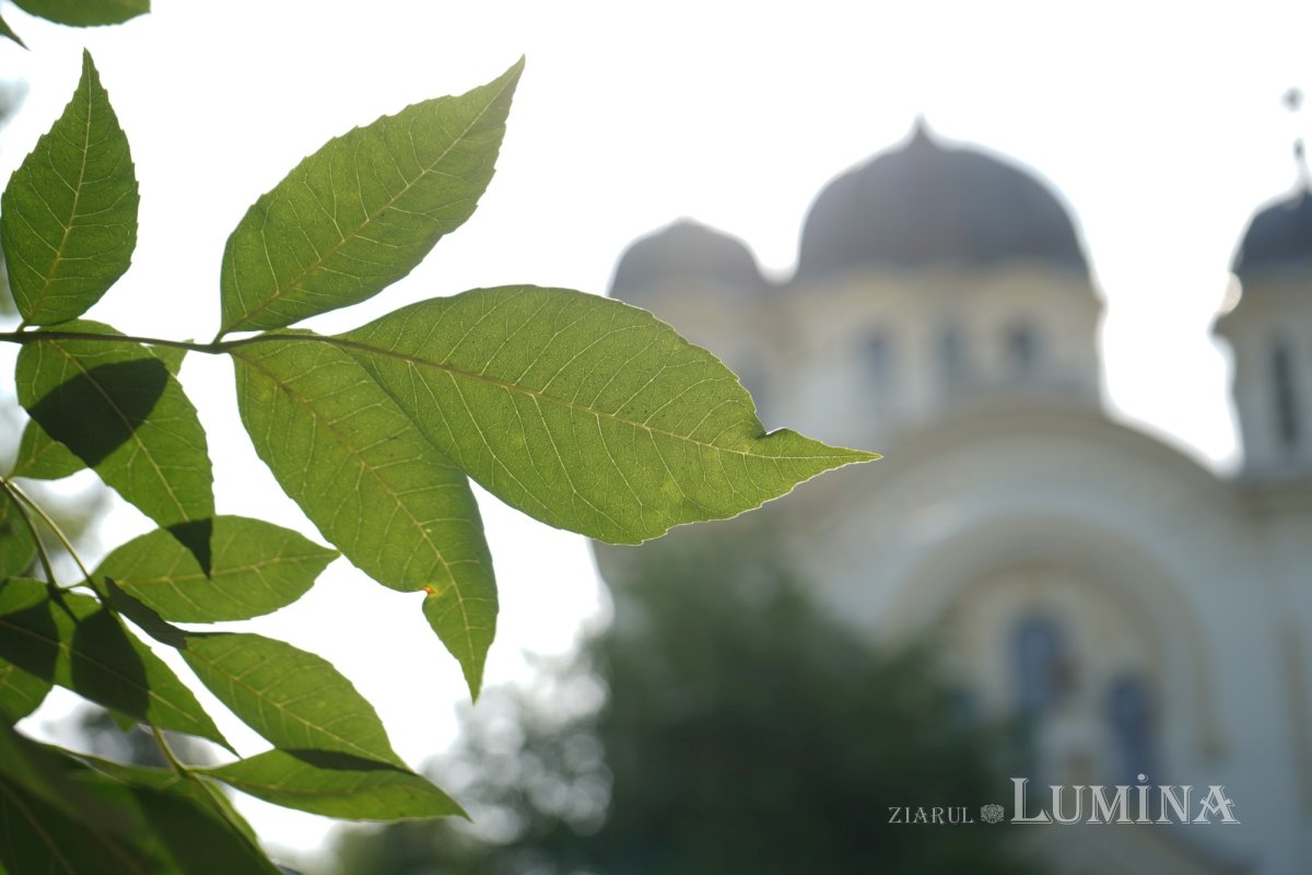 Sfântul Dionisie Erhan, prezent prin moaștele sale într‑o parohie din București 258865