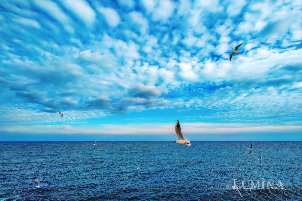 Sclipirile Luminii 260828