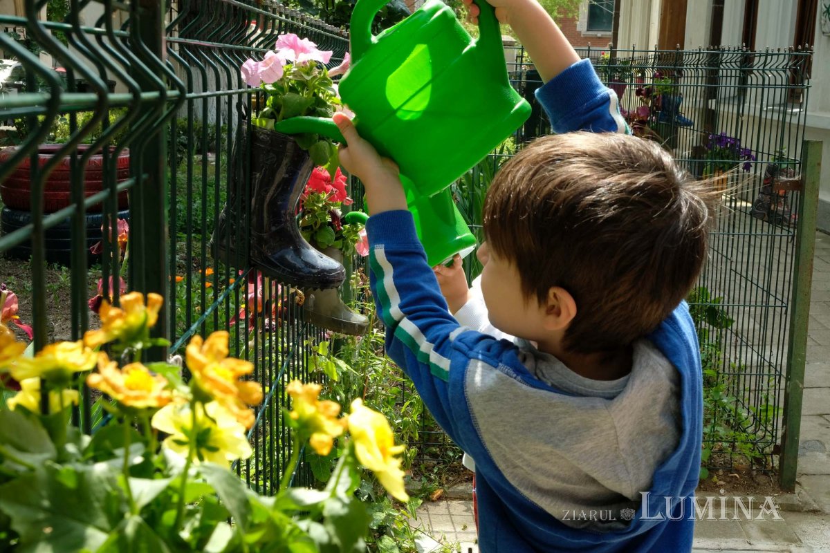 Educație și filantropie la Parohia Mavrogheni din București 261045