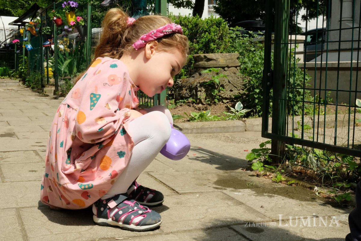 Educație și filantropie la Parohia Mavrogheni din București 261047