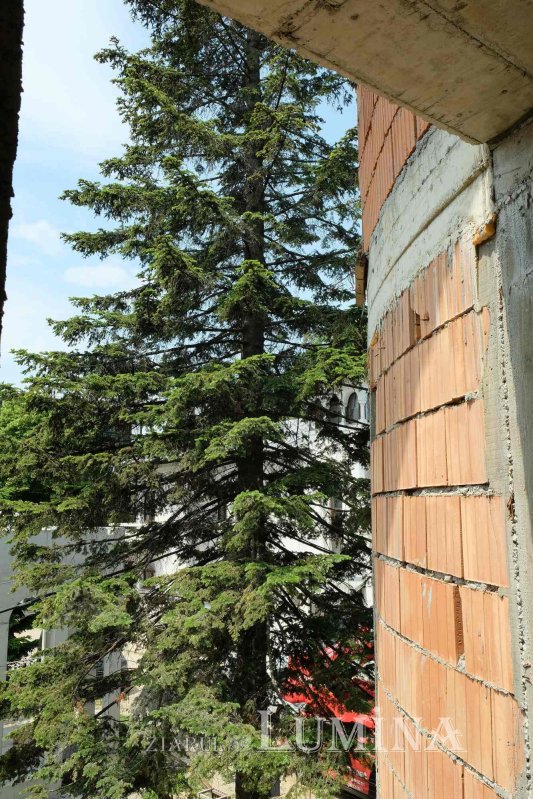 Educație și filantropie la Parohia Mavrogheni din București 261080