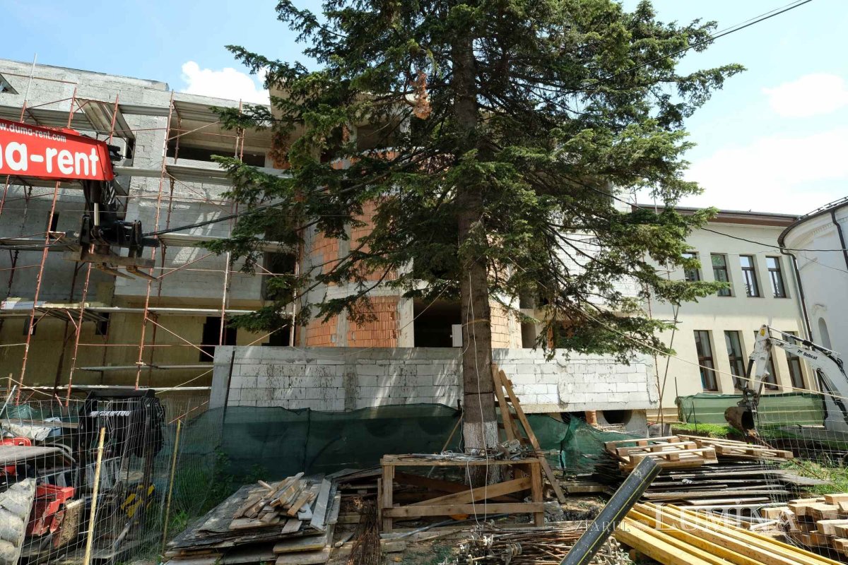 Educație și filantropie la Parohia Mavrogheni din București 261088