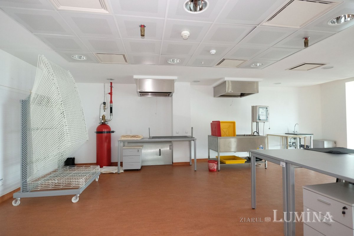 Un altfel de tezaur național 261197