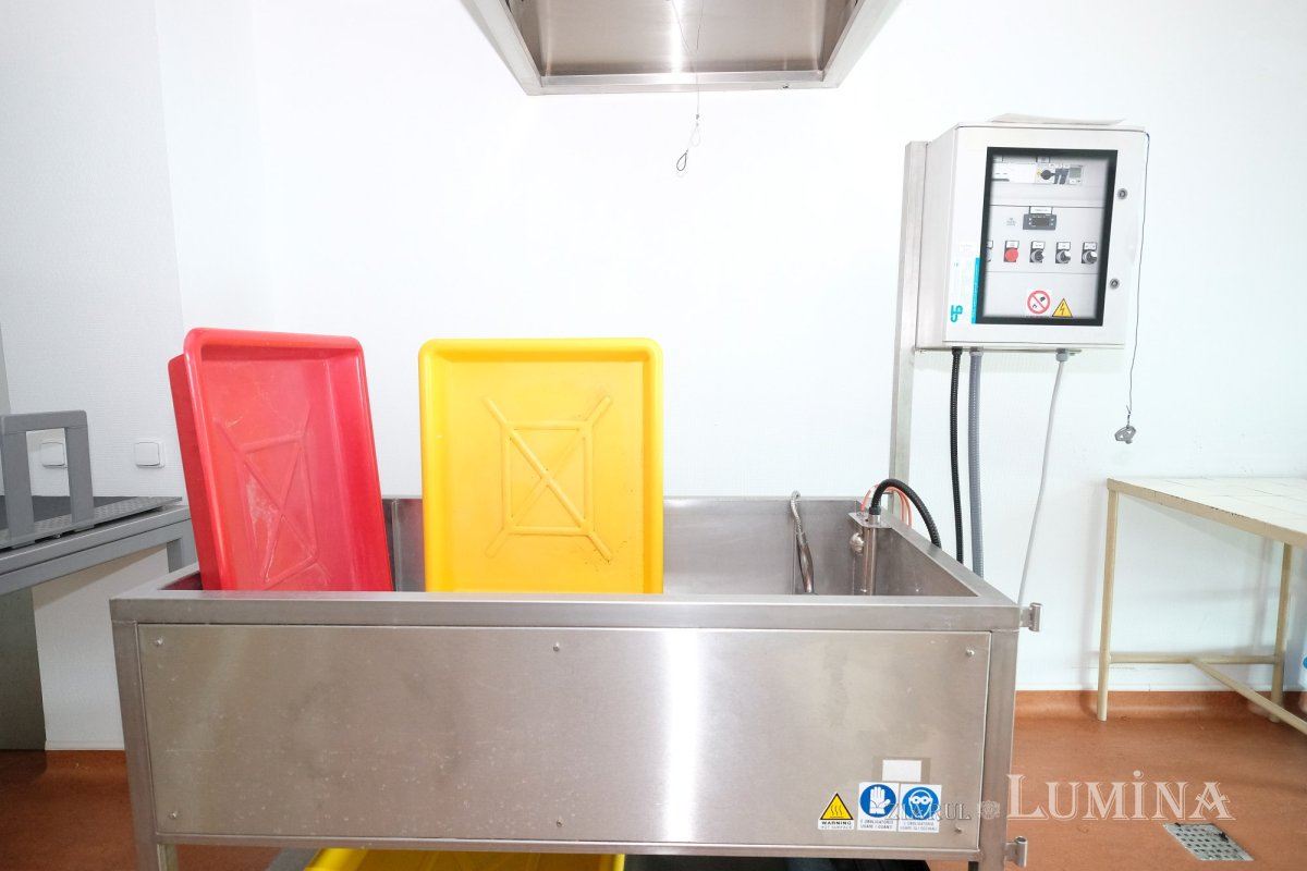 Un altfel de tezaur național 261199