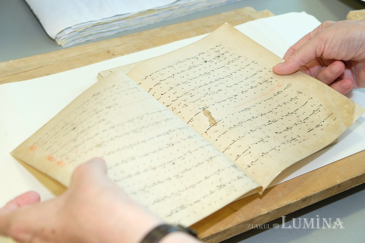 Un altfel de tezaur național 261221