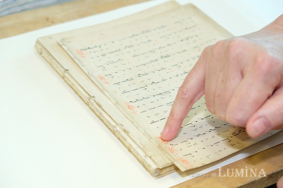 Un altfel de tezaur național 261222