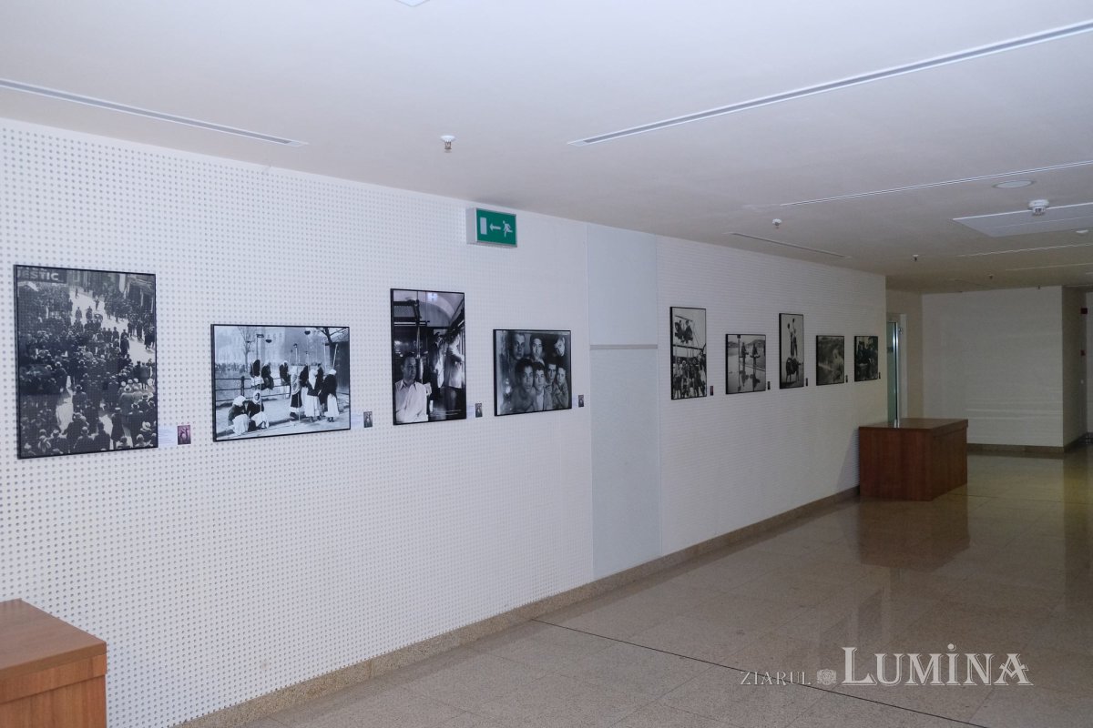 Un altfel de tezaur național 261247