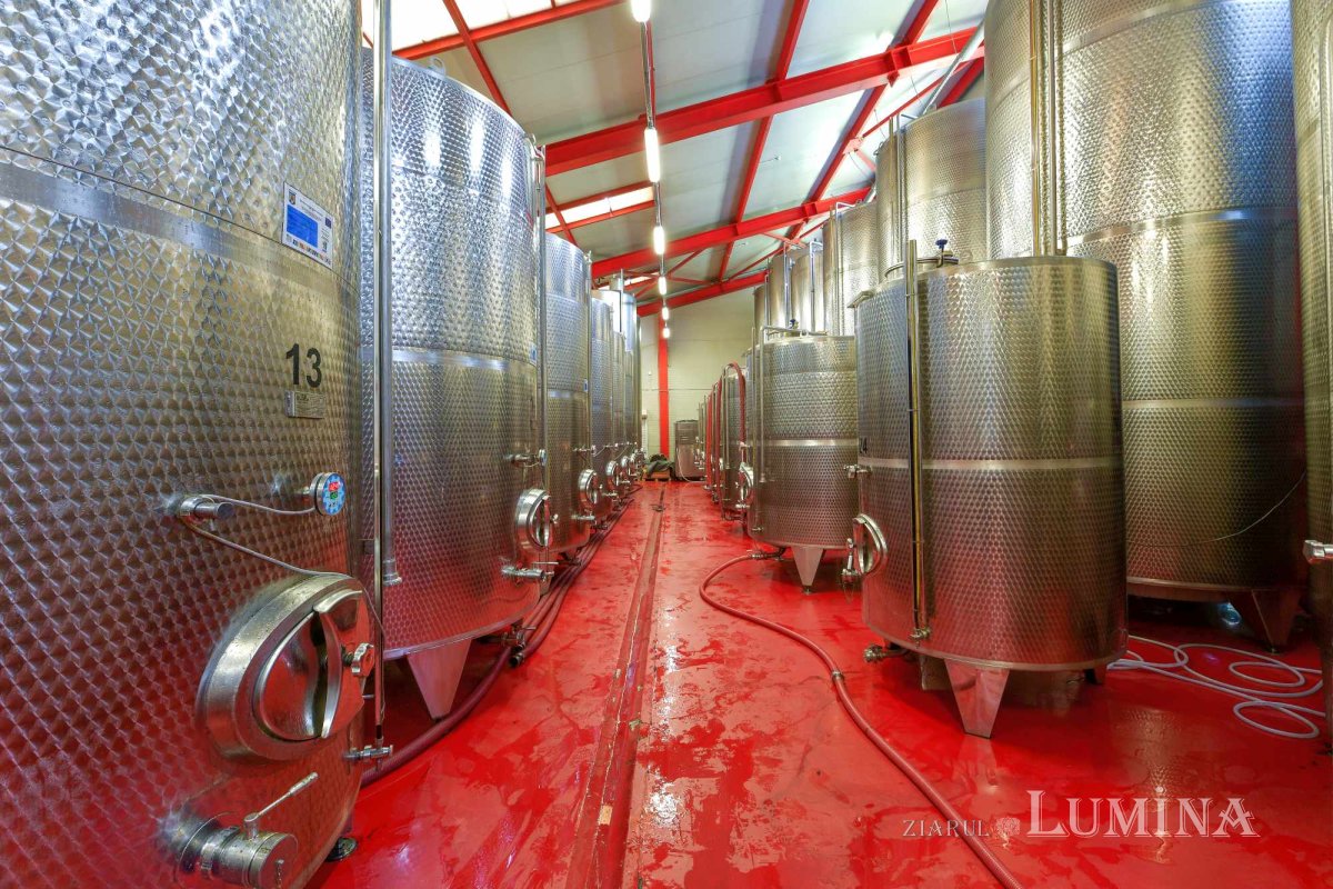 Vinuri noi produse la crama Jercălăi 262750